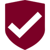 SECURITY_ICON